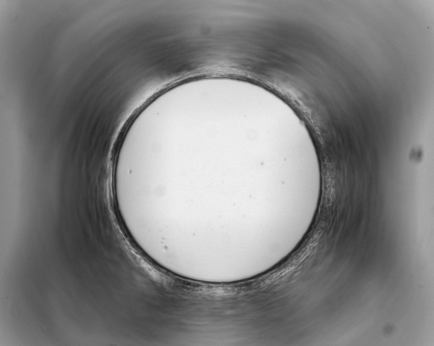 X0000098101286200805021101