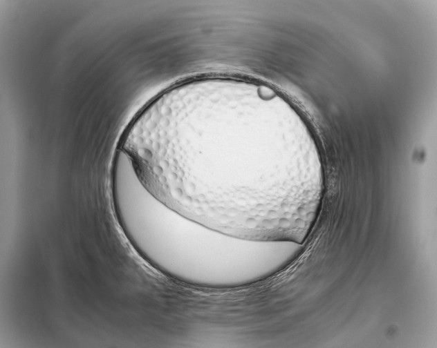 X0000098101287200805021101