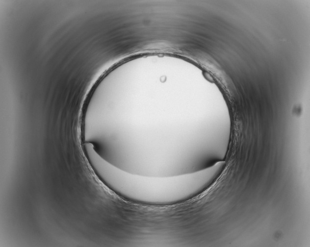 X0000098101288200805021101