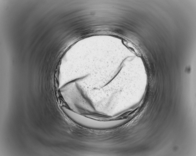 X0000098101289200805021101