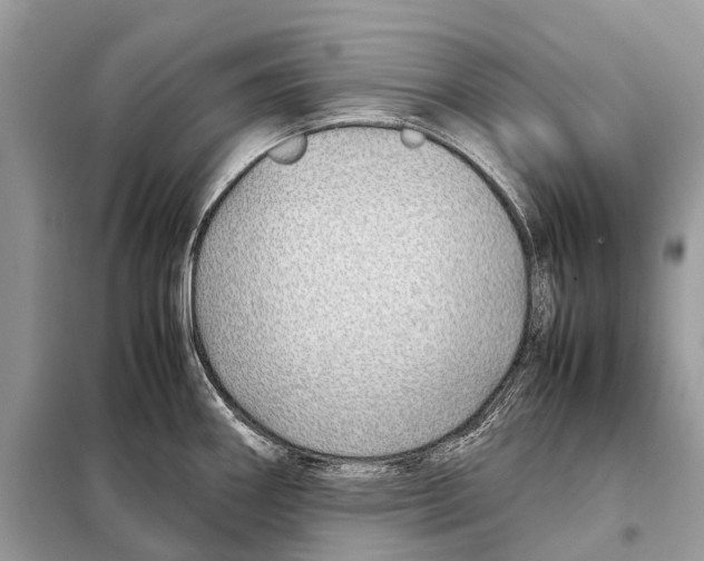 X0000098101290200805021101
