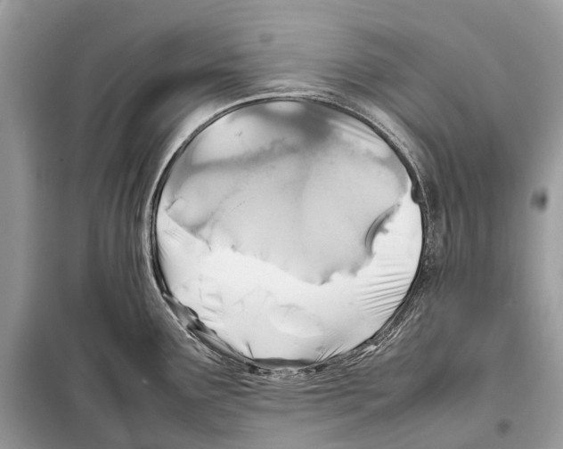 X0000098101291200805021101