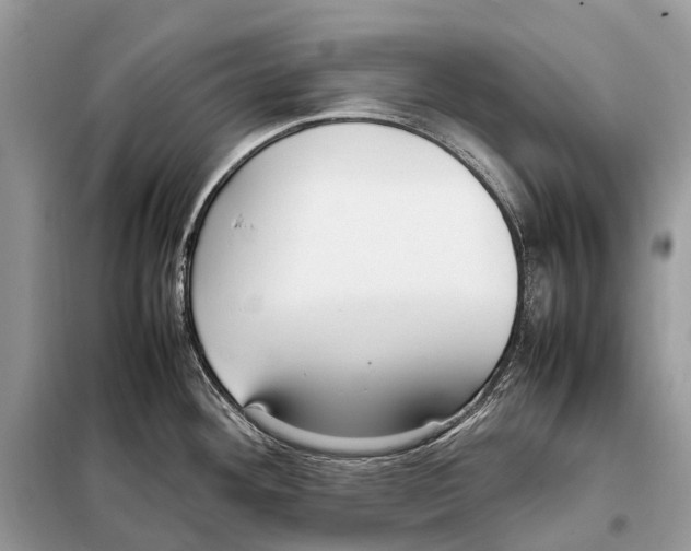 X0000098101292200805021101