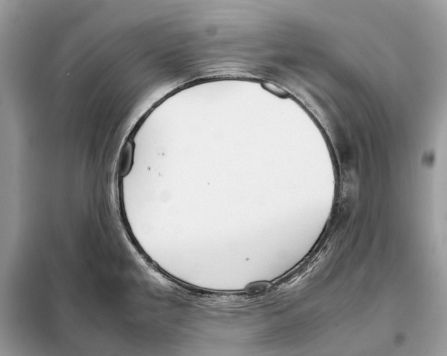 X0000098101293200805021101