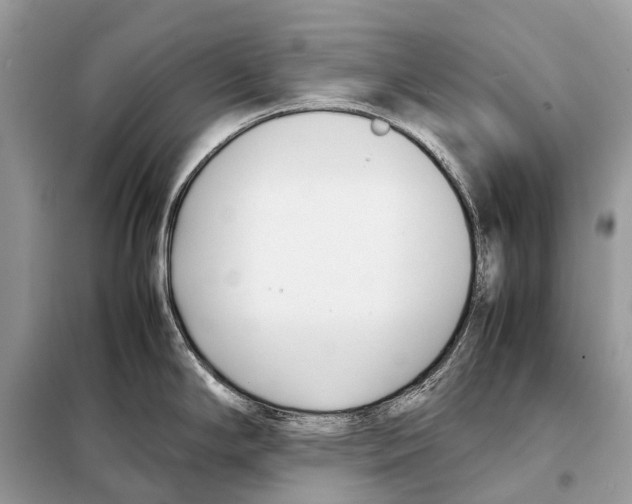 X0000098101294200805021101