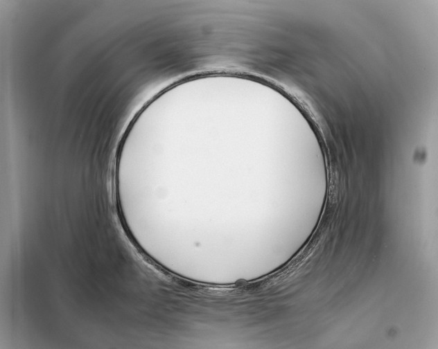 X0000098101295200805021101