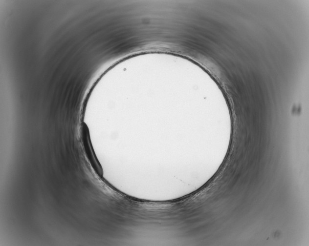 X0000098101296200805021101