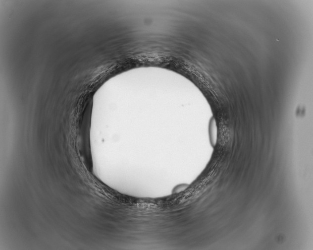 X0000098101297200805021100