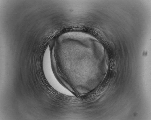 X0000098101298200805021100