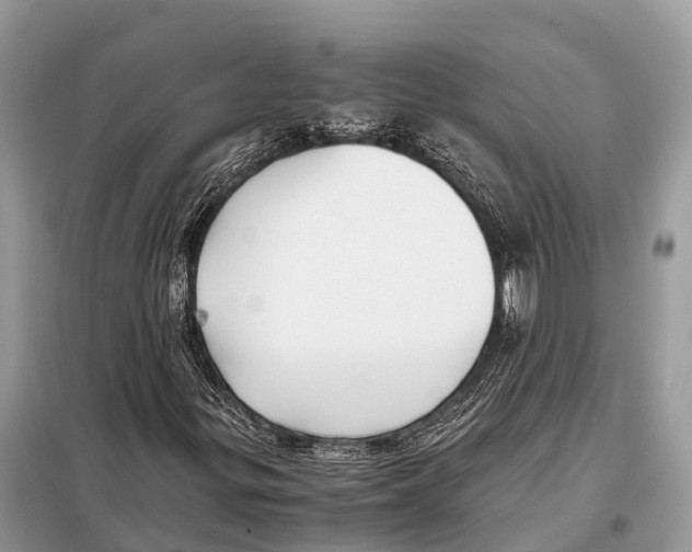 X0000098101299200805021100