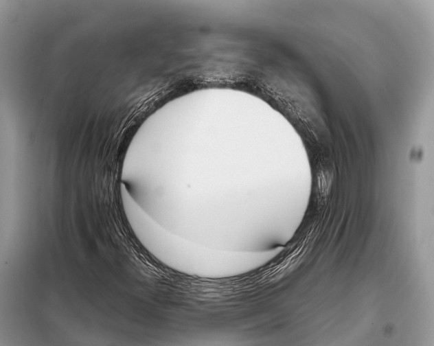 X0000098101300200805021100