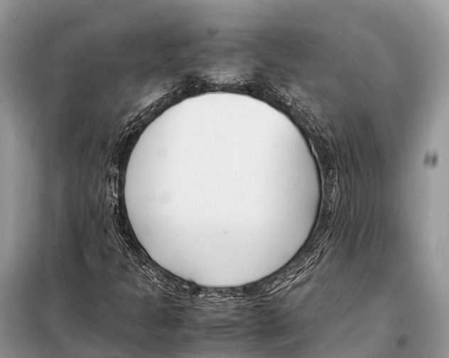 X0000098101301200805021100