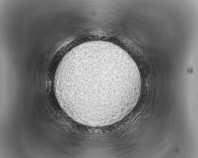 X0000098101302200805021100