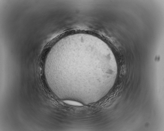 X0000098101303200805021100