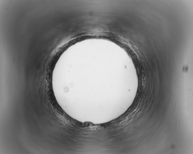 X0000098101304200805021100