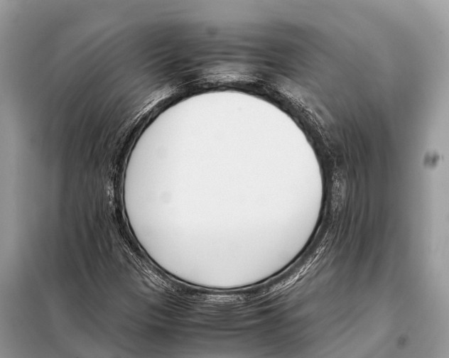 X0000098101305200805021100