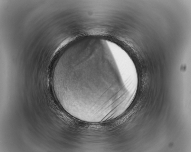 X0000098101306200805021100