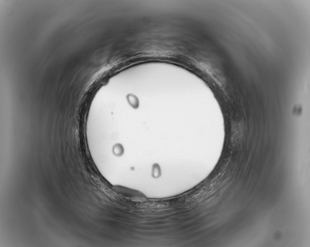 X0000098101307200805021100