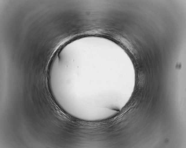 X0000098101308200805021100