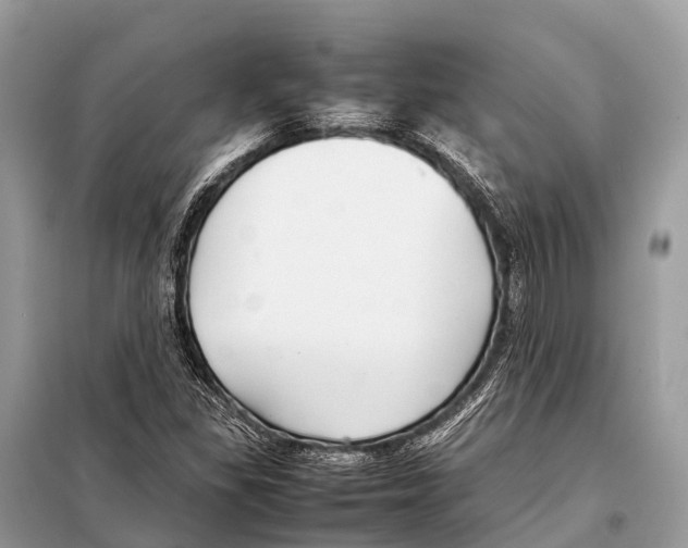 X0000098101309200805021100