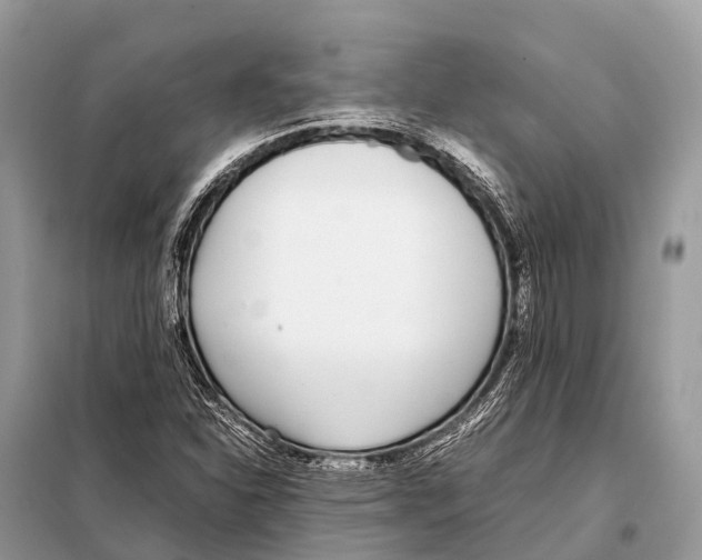 X0000098101310200805021100