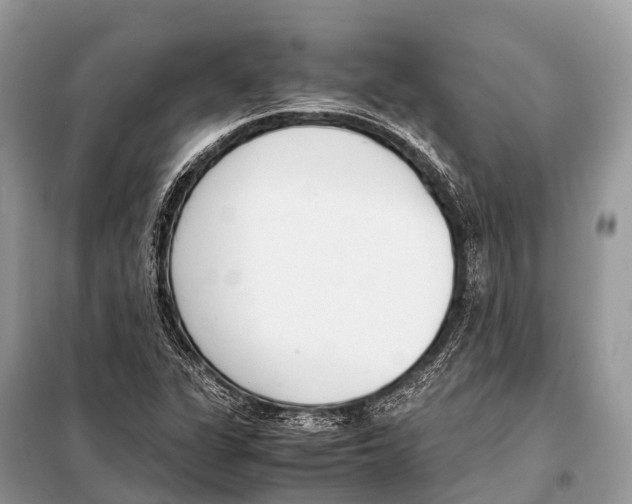 X0000098101311200805021100
