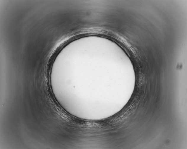 X0000098101312200805021100