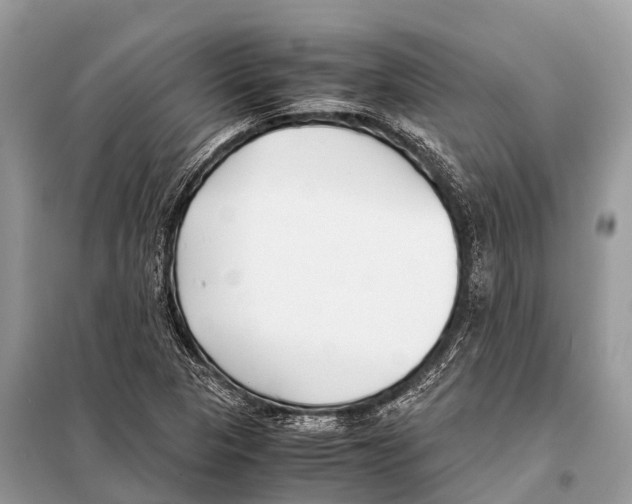 X0000098101313200805021100