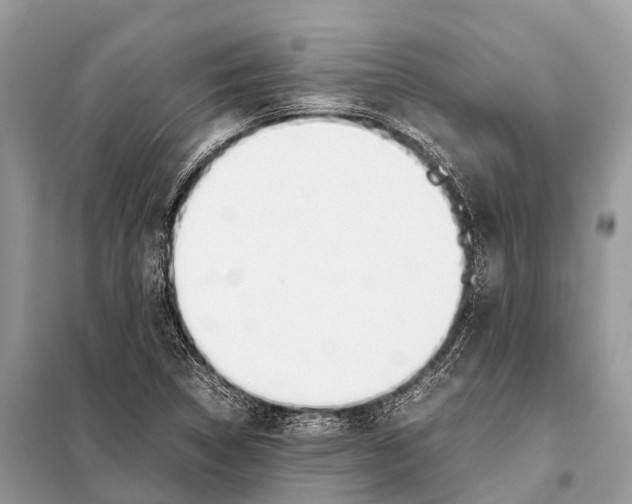 X0000098101314200805021100