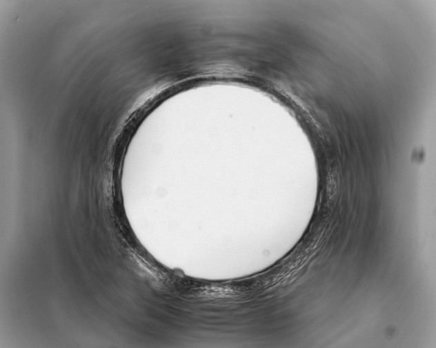 X0000098101315200805021100