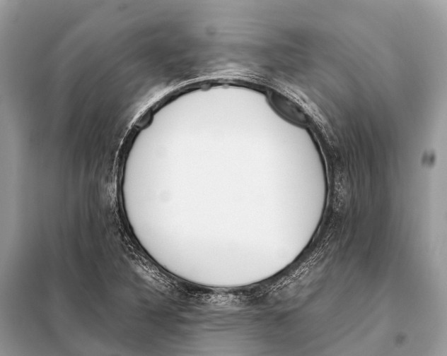 X0000098101316200805021100
