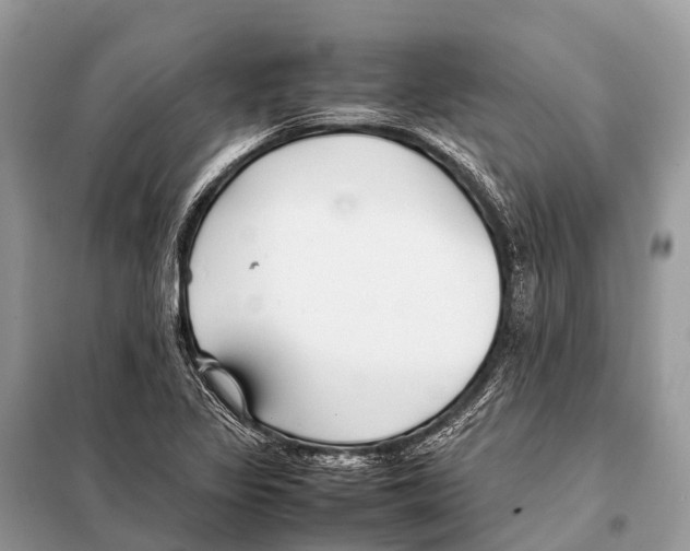 X0000098101317200805021100