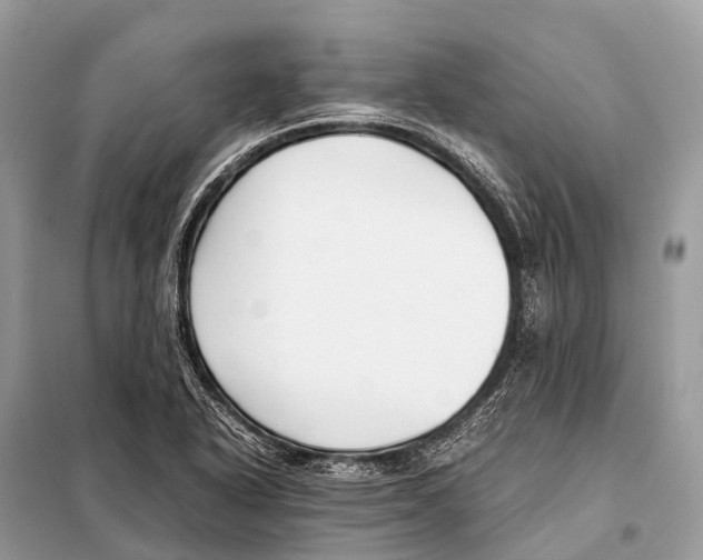 X0000098101318200805021100