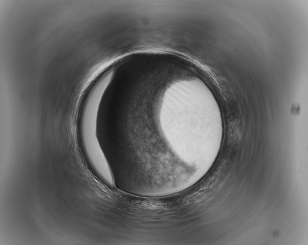 X0000098101319200805021100