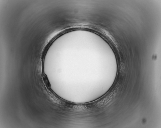 X0000098101320200805021100