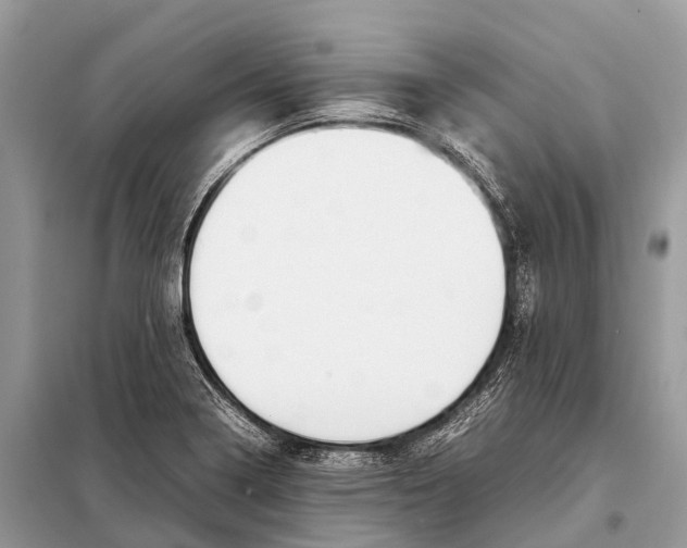 X0000098101322200805021100