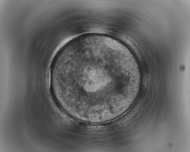 X0000098101323200805021100