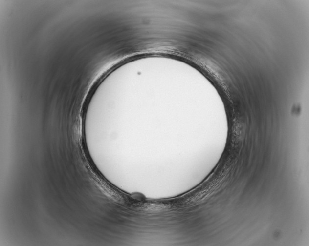 X0000098101324200805021100