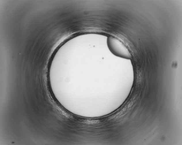 X0000098101325200805021101