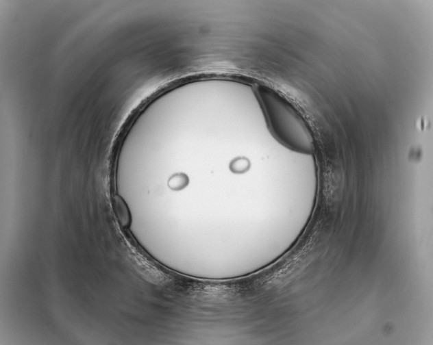 X0000098101326200805021101