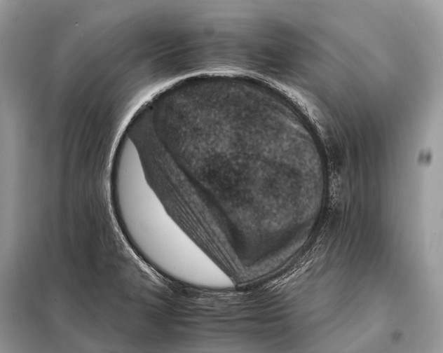 X0000098101327200805021101