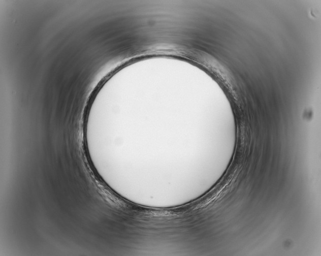 X0000098101328200805021101