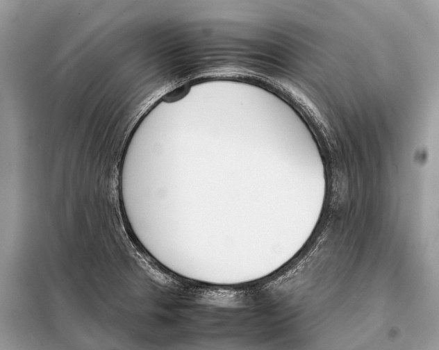 X0000098101329200805021101