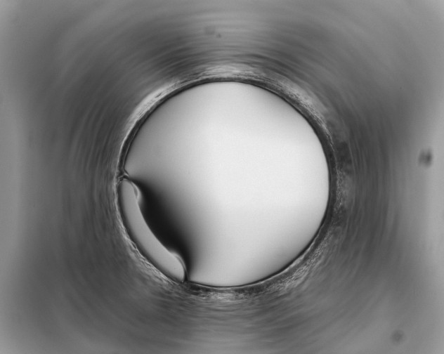 X0000098101330200805021101