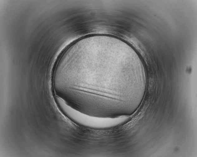 X0000098101331200805021101