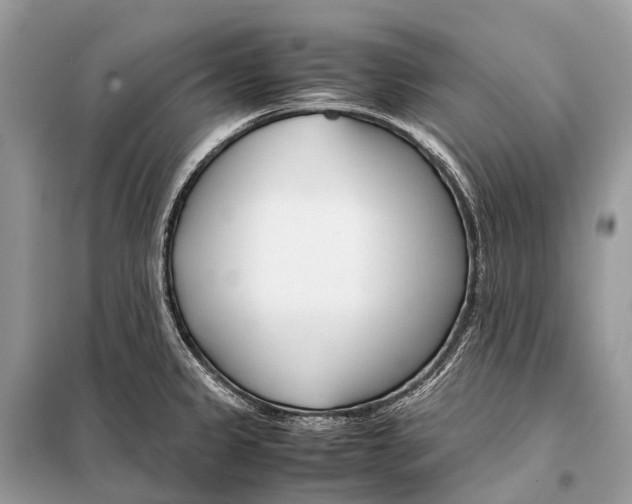 X0000098101333200805021101