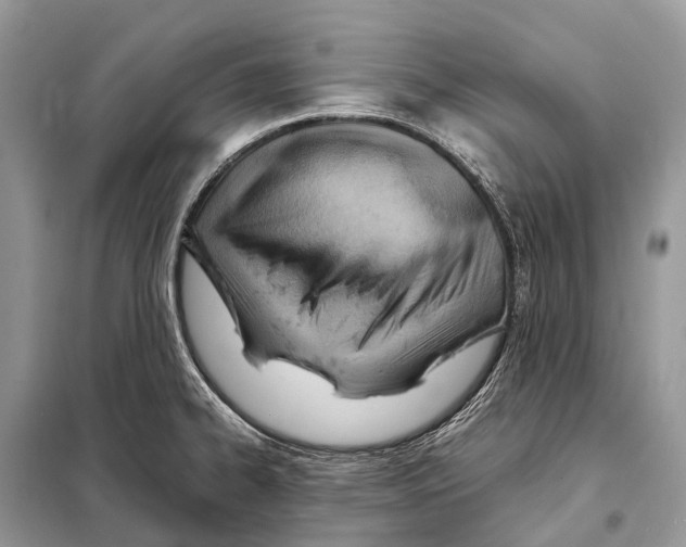 X0000098101334200805021101