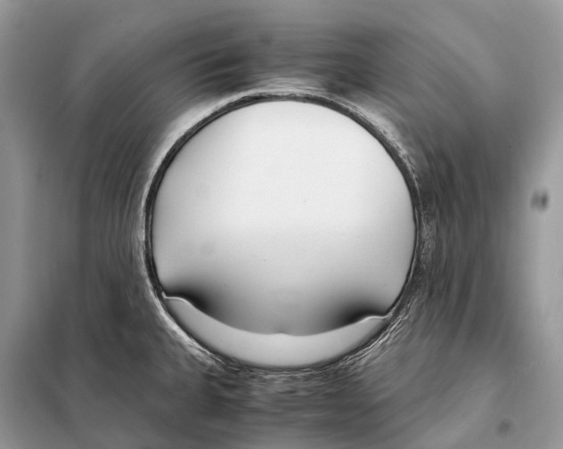 X0000098101335200805021101