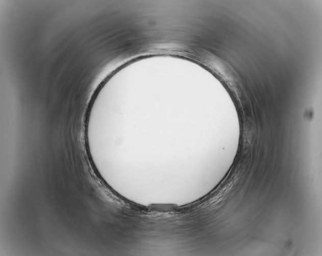 X0000098101336200805021101