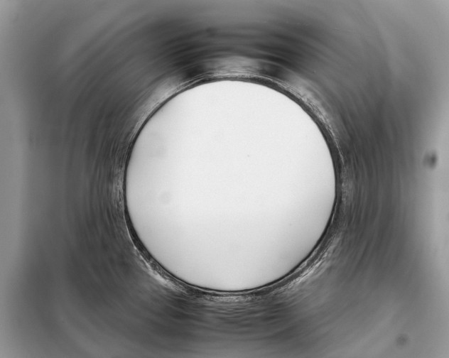X0000098101337200805021101